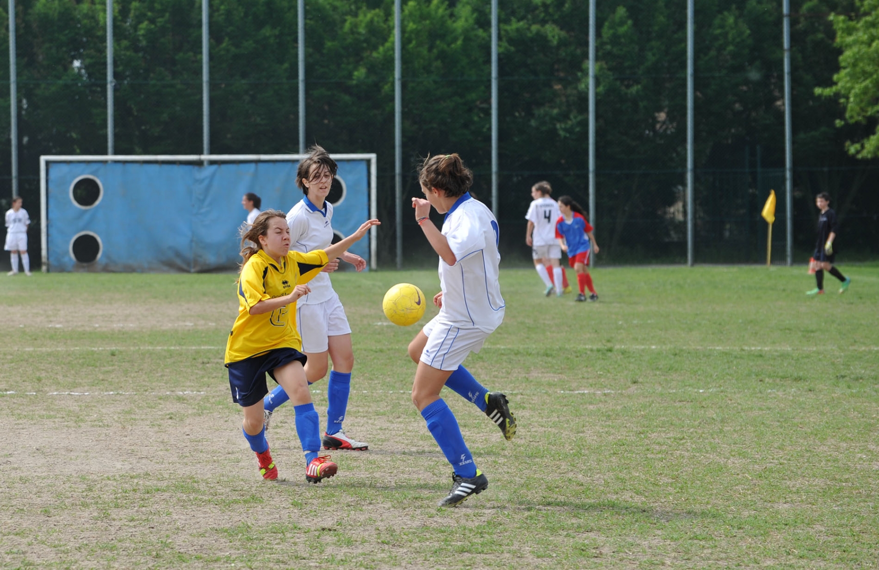 11-torneo-rosa-di-maggio-2014-cadidavid-calcio-femminile_14156701626_o