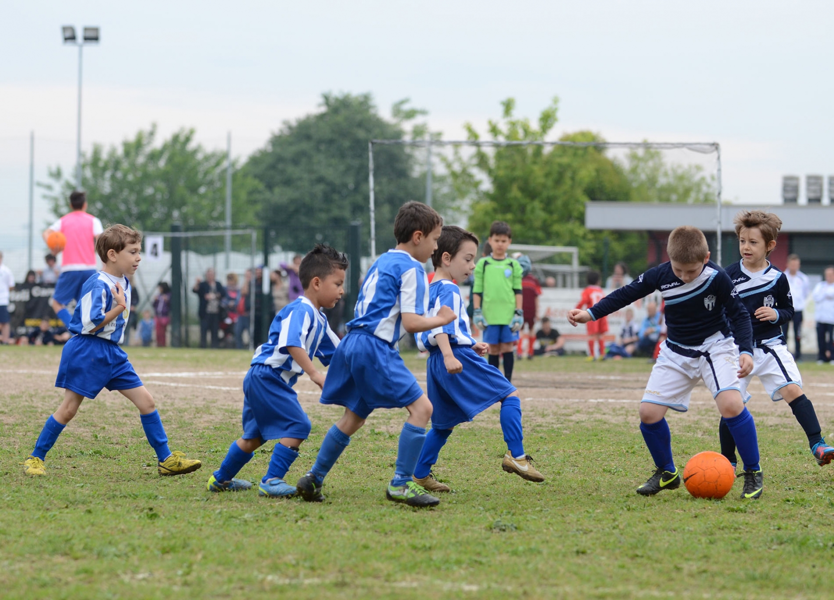 fun-football-day-2013_16526483164_o